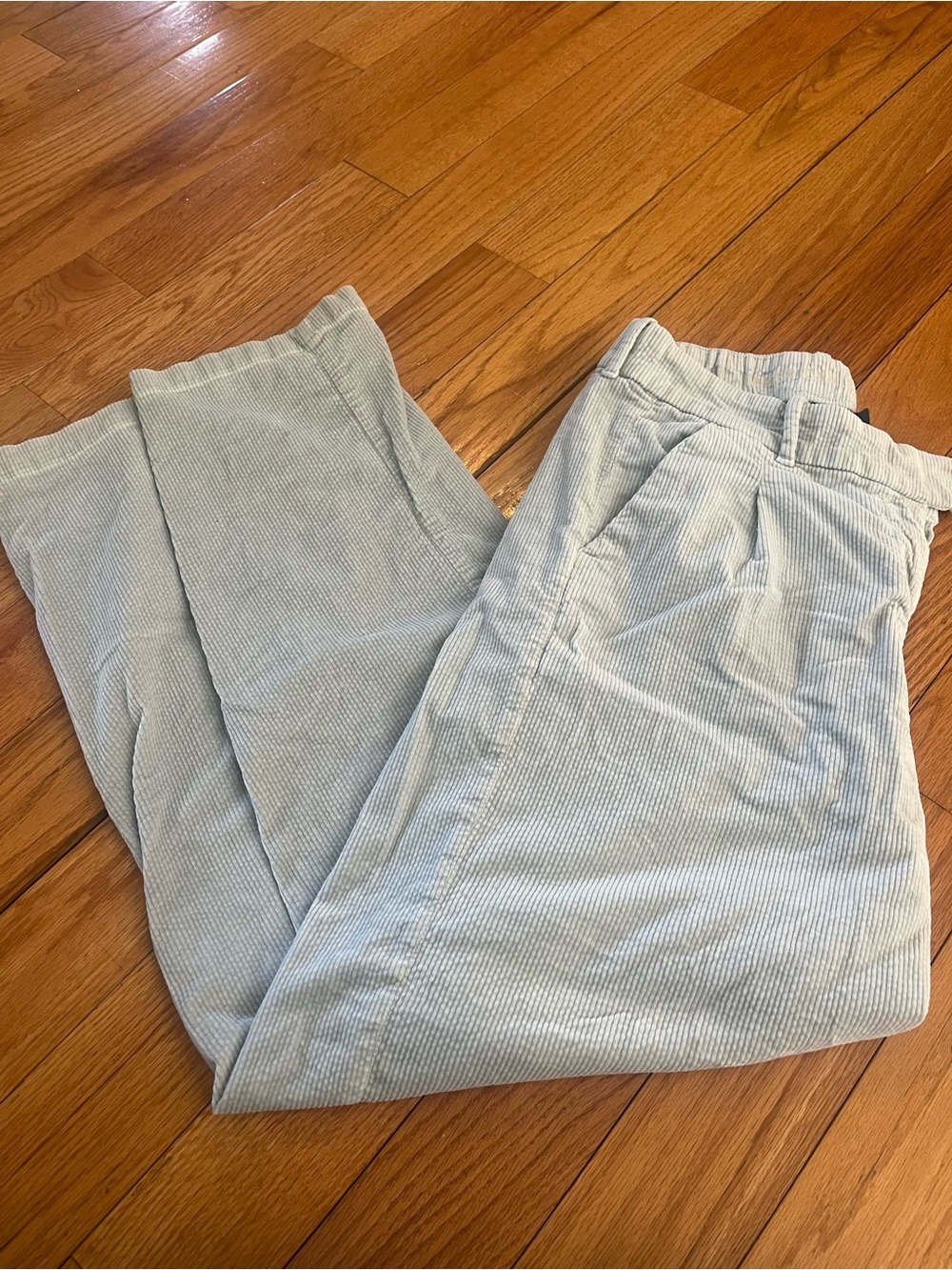 American Eagle Outfitters Light blue wide leg corduroy trouser